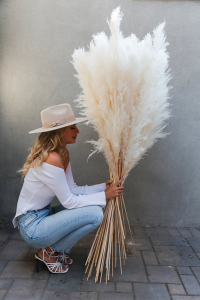 Pampas grass collection